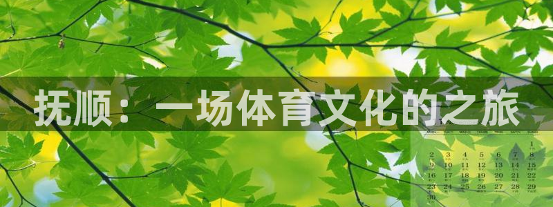 欧亿体育官方集团官网:抚顺:一场体育文化的之旅